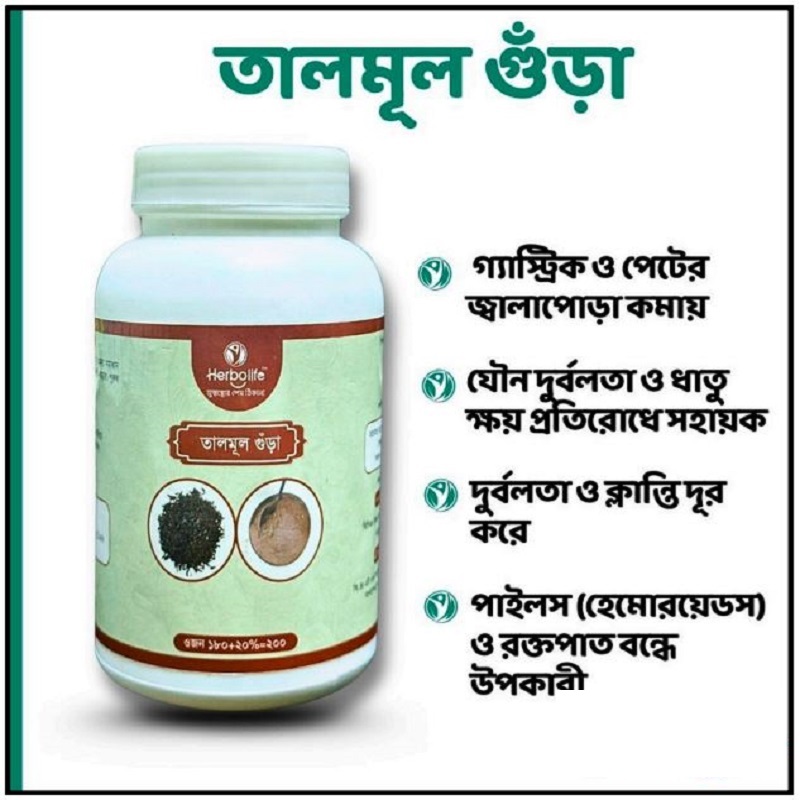 তালমূল গুঁড়া